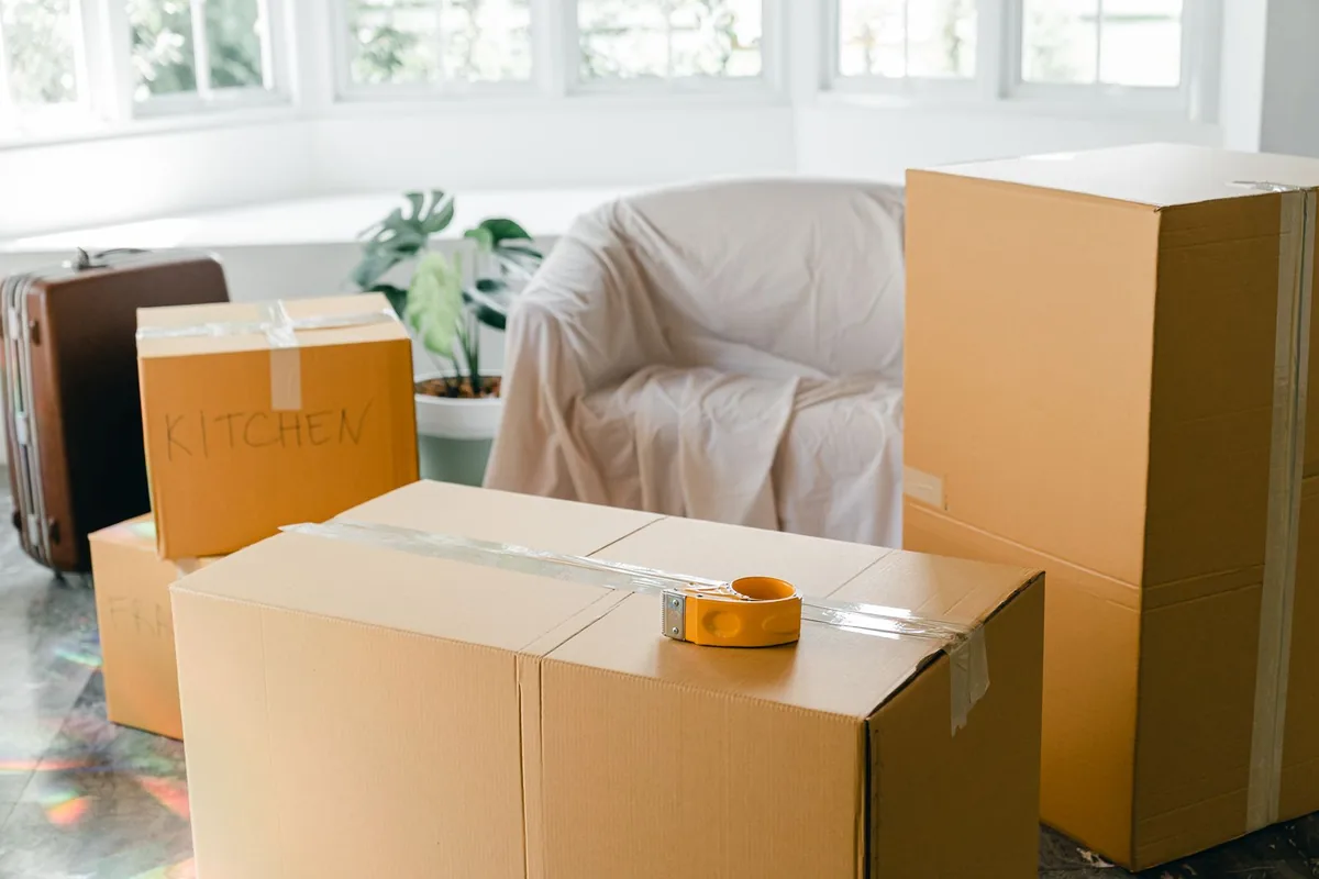 Hoarding Cleanup in Carrollwood, FL